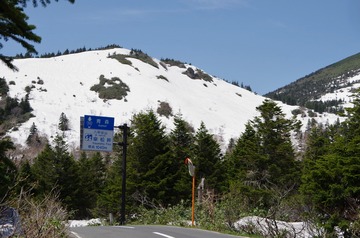 IMGP8731