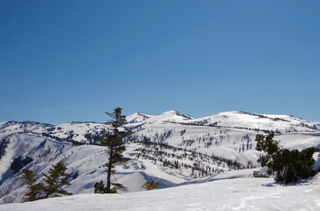 IMGP6561