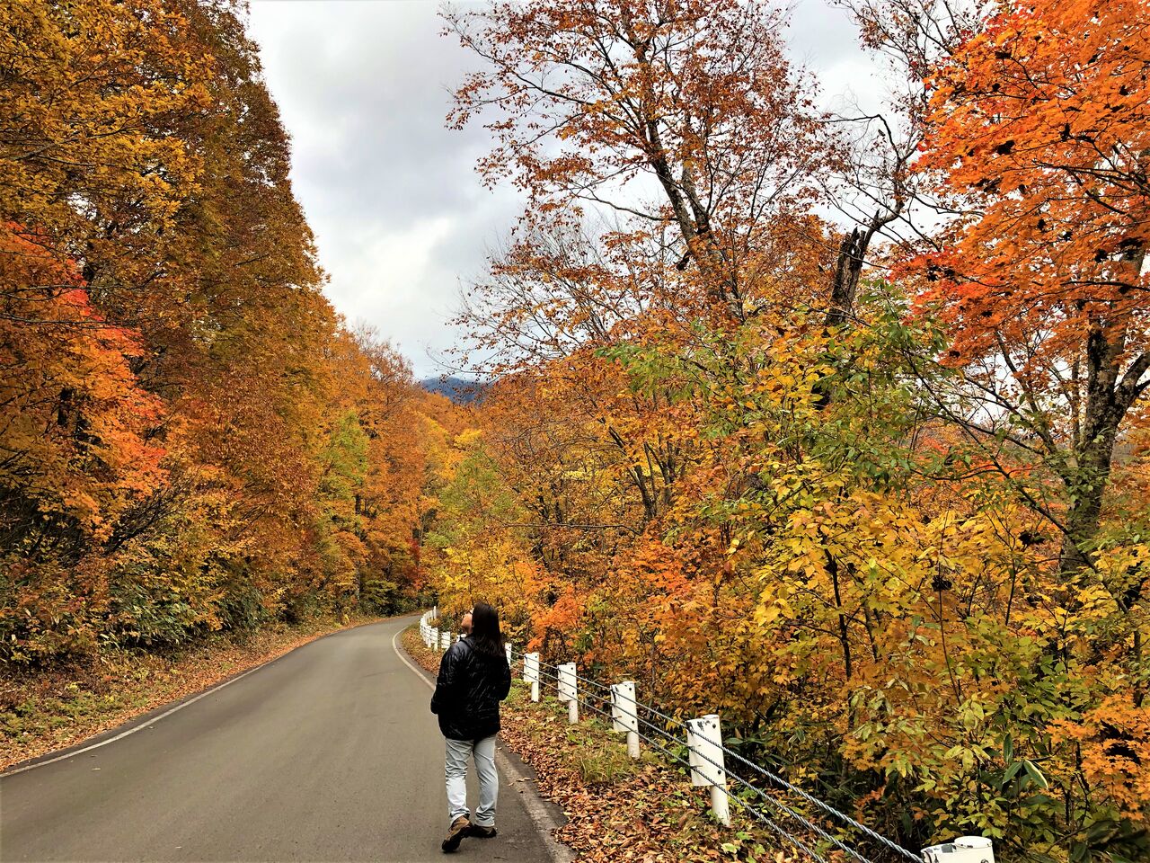 10 26 月 奥志賀 かやの平トレッキングツアー Diamond Dust