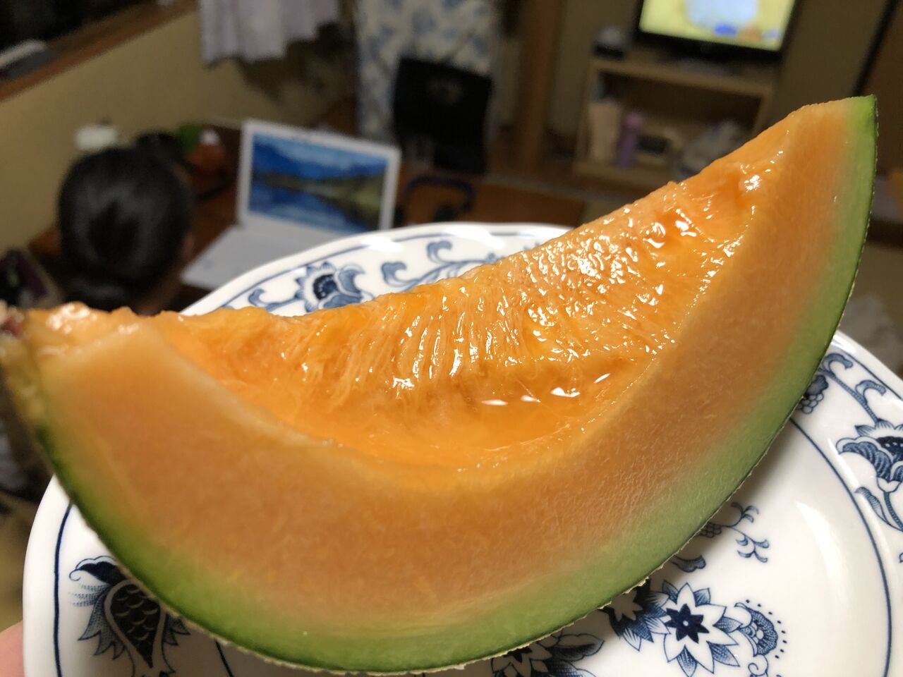 鳥海山へ Diamond Dust 鳥海山へ Diamond Dust