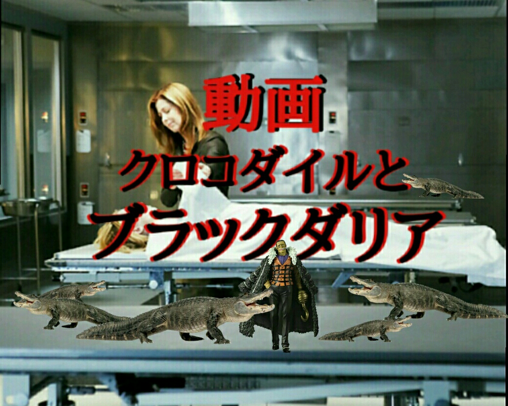 動画 クロコダイルとブラックダリア B級news