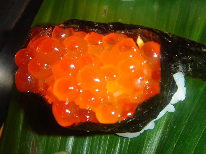 イメージ 11