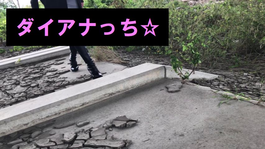 生魚の踏み潰し 屋外編 私物のブーツ ダイアナっち クラッシュblog