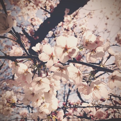 7149D98D-3D84-439B-B727-4BF82CA953E5