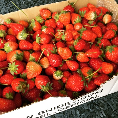 C06FC184-2460-4B55-AC0B-6C59BD079BC8