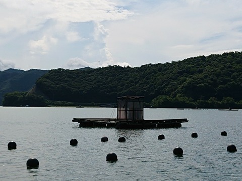 _20200731_052319