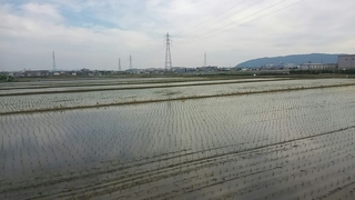 38f089c1.jpg