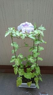 39b03905.jpg