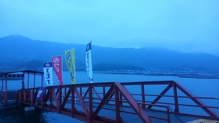 4af88693.jpg