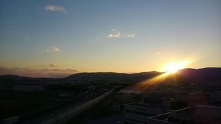 6d90503b.jpg