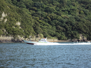6e6f794d.jpg