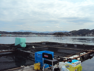 7a8ff883.jpg