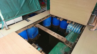 9d7617d1.jpg
