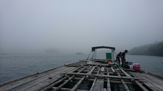 c24c387c.jpg