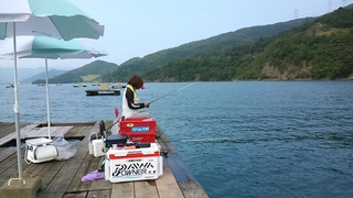 c3123698.jpg