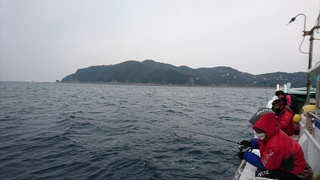 c957c58a.jpg
