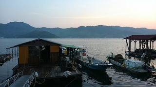 d2f8c1a6.jpg