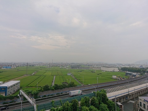DSC_0317