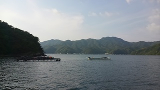 f5322ade.jpg