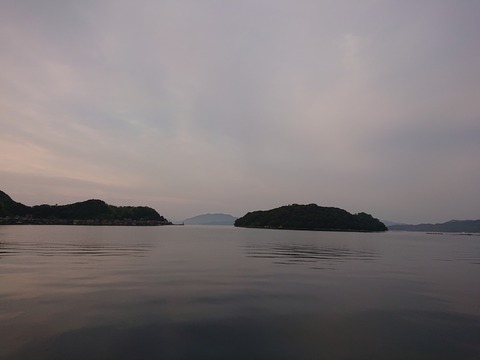 DSC_1085