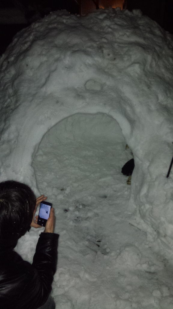 大雪と入り江とマスターボール ポケモン図鑑コンプの旅 その4 君がやらねば俺がやる