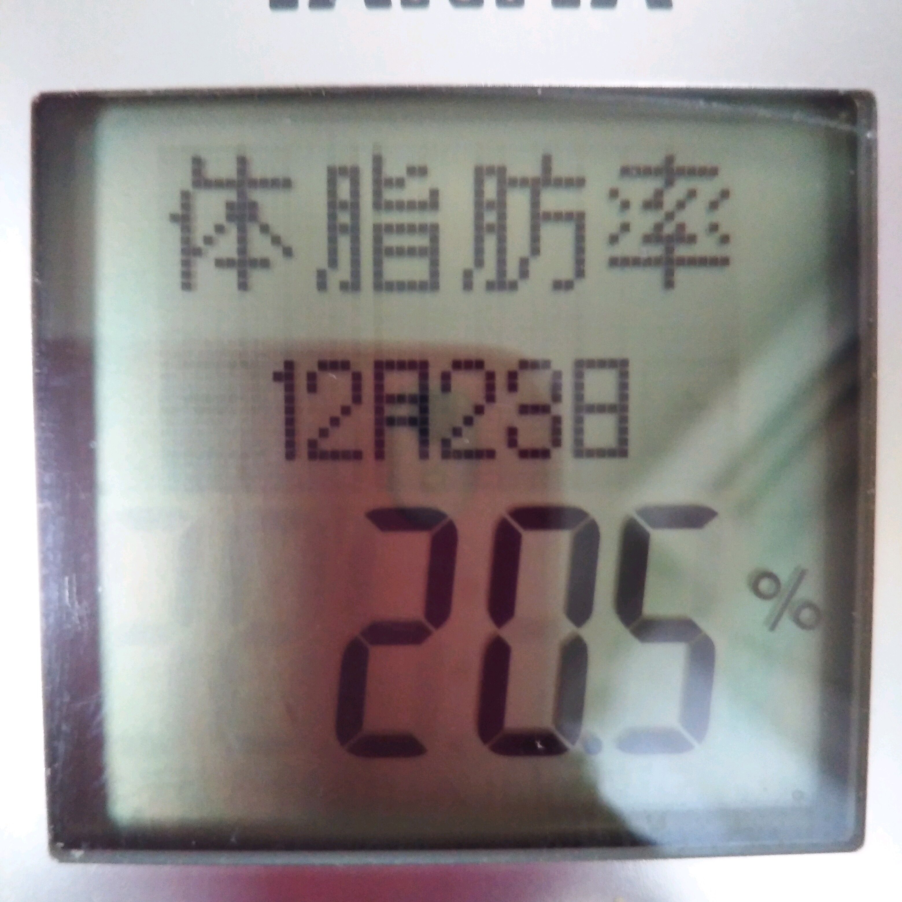 痩せ期が来たよ 体重 体脂肪率 激減した 45 0kg キロ痩せるダイエット方法