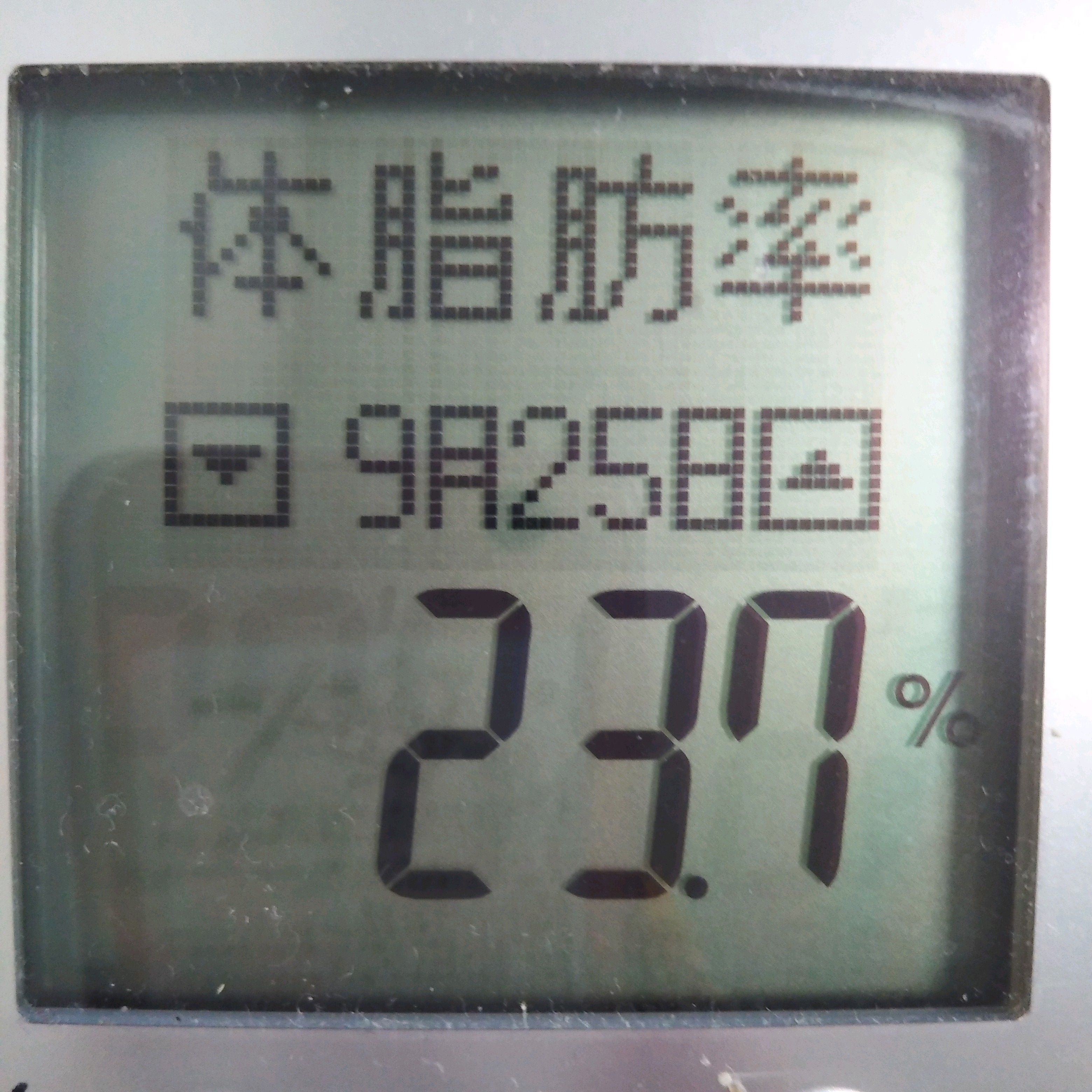 １５キロ痩せた感想 １２００キロカロリーダイエット終了 痩せていられるために 大切なこと キロ痩せるダイエット方法