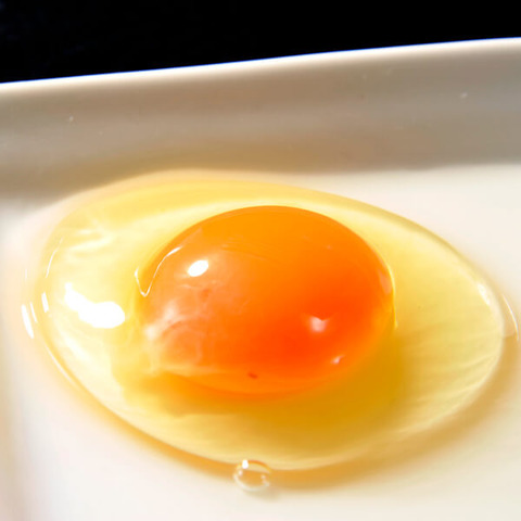tamago02