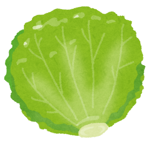 food_lettuce