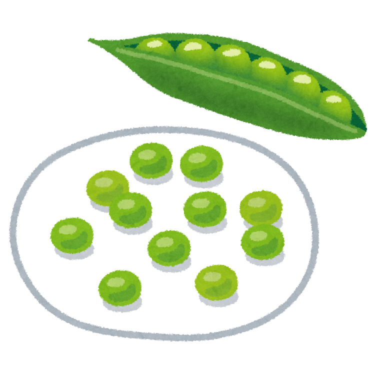 野菜 食物繊維は野菜の中でもトップクラス 春の食卓を彩る グリーンピース が旬を迎える 簡単 成功 ダイエット 野菜 食物繊維は野菜の中でもトップクラス 春の食卓を彩る グリーンピース が旬を迎える 簡単 成功 ダイエット