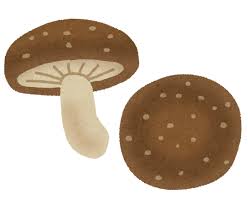 キノコとかいう最強のダイエット食品　