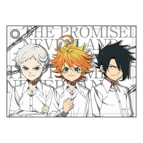 000000013784_ebQsW5s