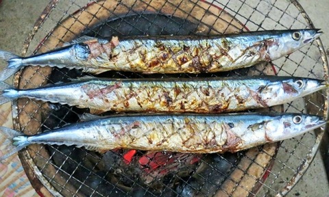 sanma