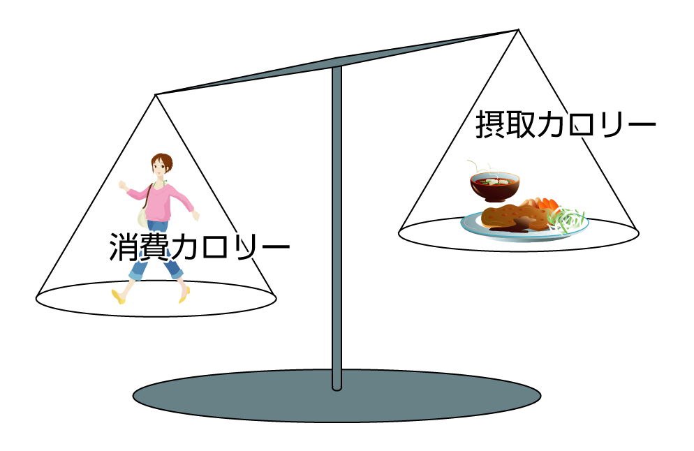 一日の摂取カロリー1600に抑えてる奴とかホントにいるの