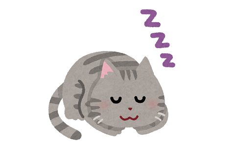 sleep_animal_cat