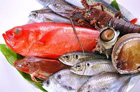 【健康】魚介類を1日110g食べるとうつ病のリスクが軽減されると判明