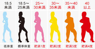 普通体型 Bmi21 23くらい の方の生活習慣 ダイエットまとめneo