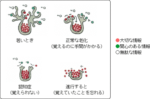 認知 症 テスト 絵 を 覚える ブログ ニュース