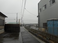 今日は久しぶりの雨