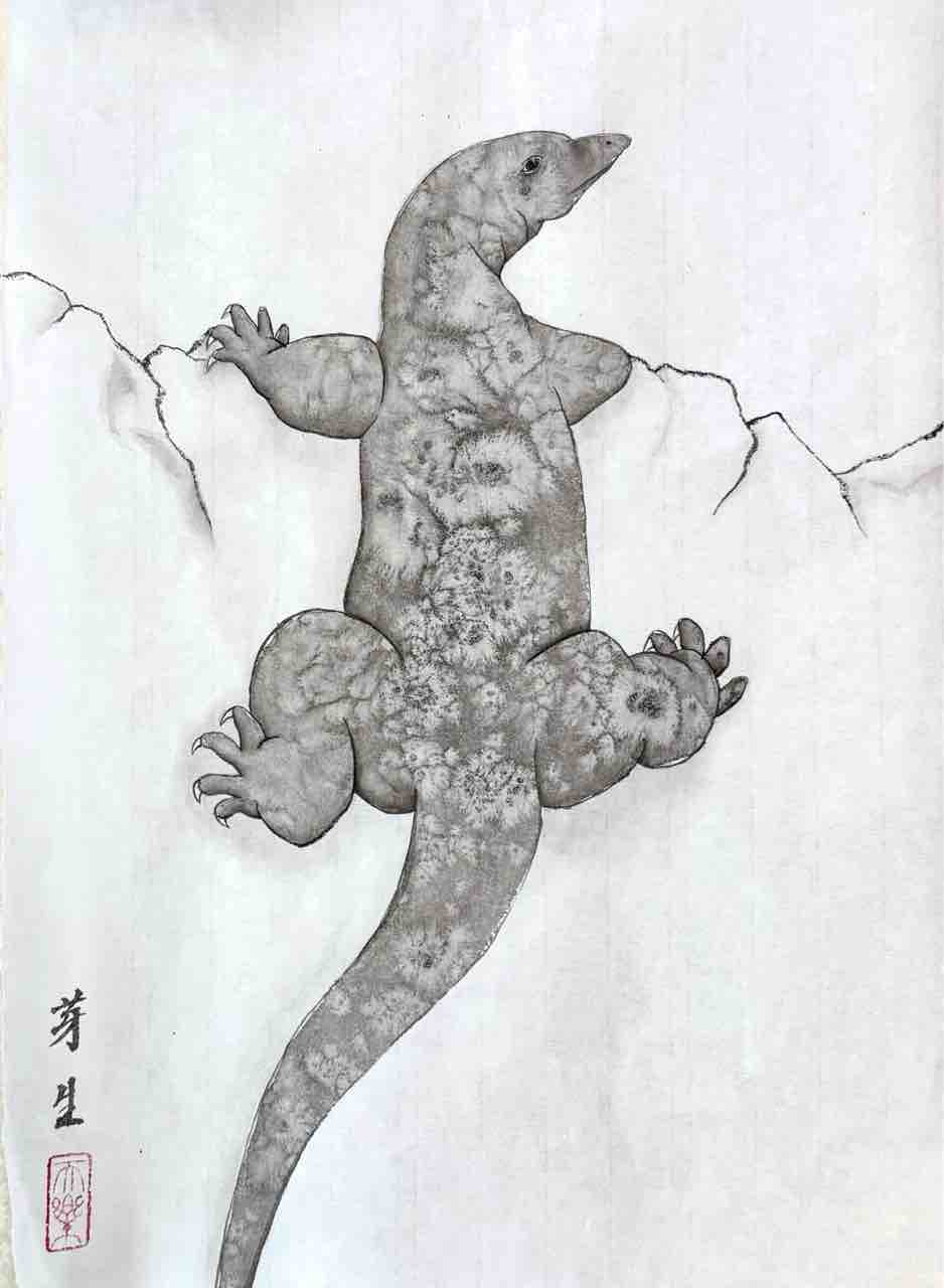 西日暮里教室応用クラス オオトカゲとワニを描く : 橙月水墨画