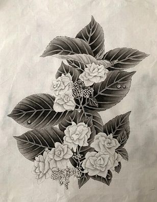 IMG_5429