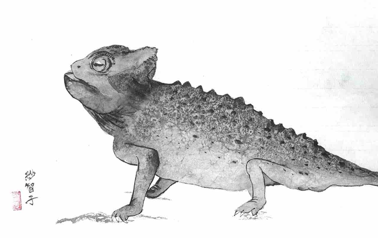 水墨画 行徳先生　2セット 71p8FWp9PAL._AC_UL210_SR210,