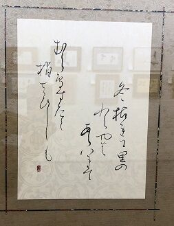 IMG_8114