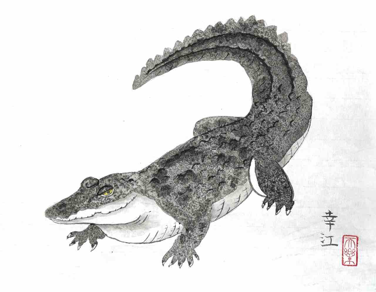 西日暮里教室応用クラス オオトカゲとワニを描く : 橙月水墨画