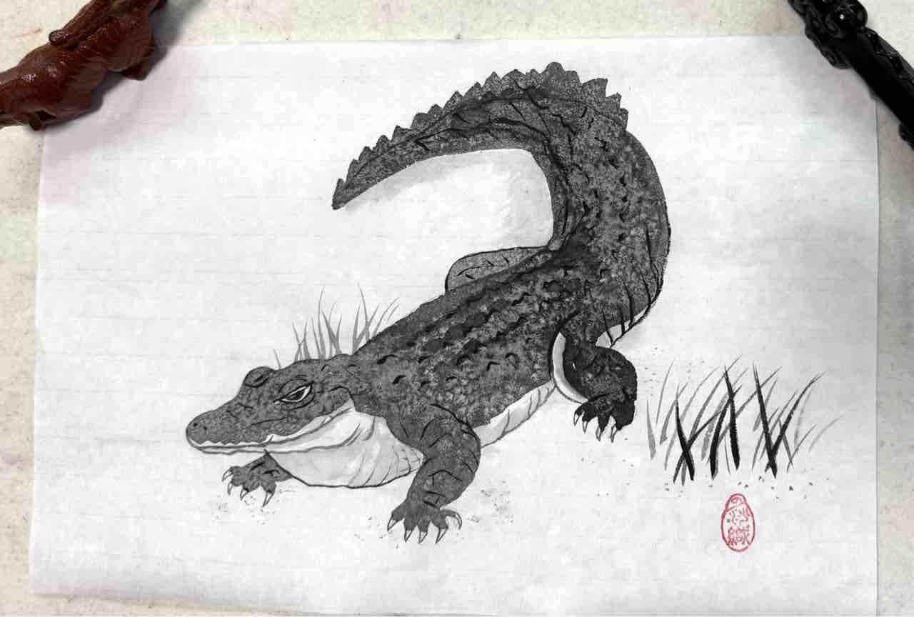 西日暮里教室応用クラス オオトカゲとワニを描く : 橙月水墨画