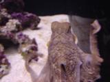20040805_05