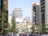 20050503.jpg