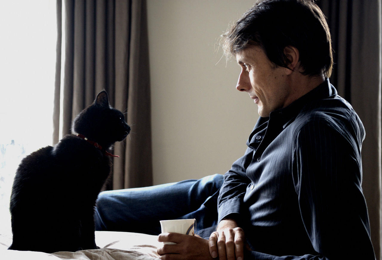 Suede We Could Go Dreaming See Suede We Could Go Dreaming See