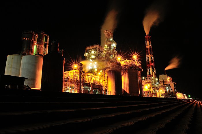 560011_314640235277587_100001948404416_744595_318664643_n