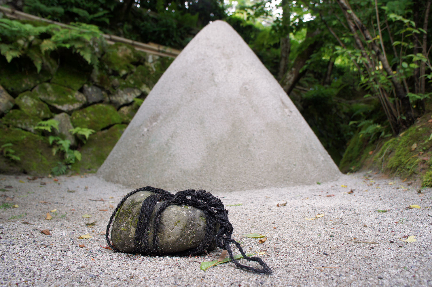 関守石 ナイスショット 撮り隊